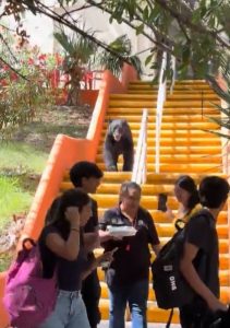 ¡De visita en la universidad! Captan a oso negro en Facultad de Comunicación de la UANL